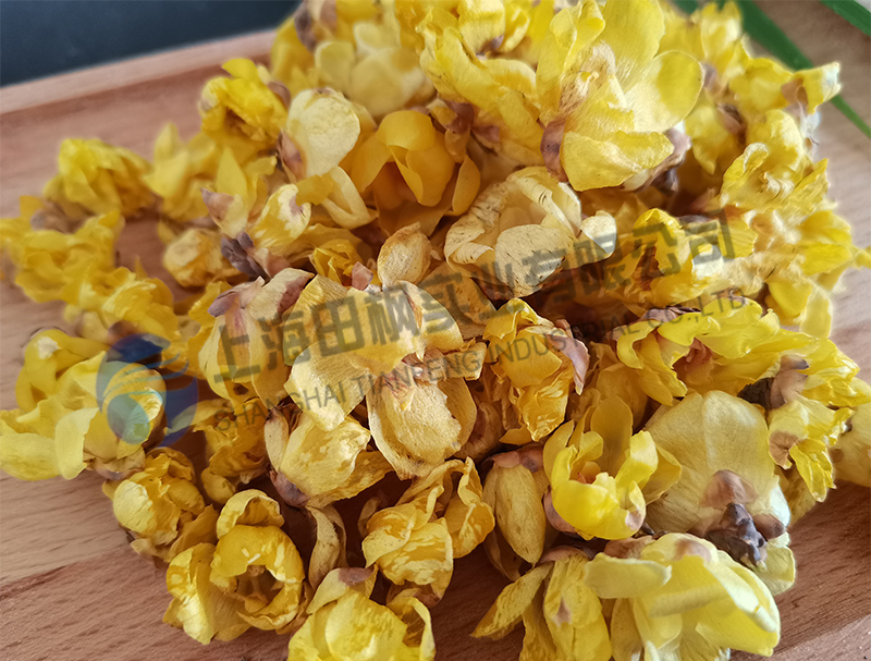 臘梅花凍干，鮮花冷凍干燥機