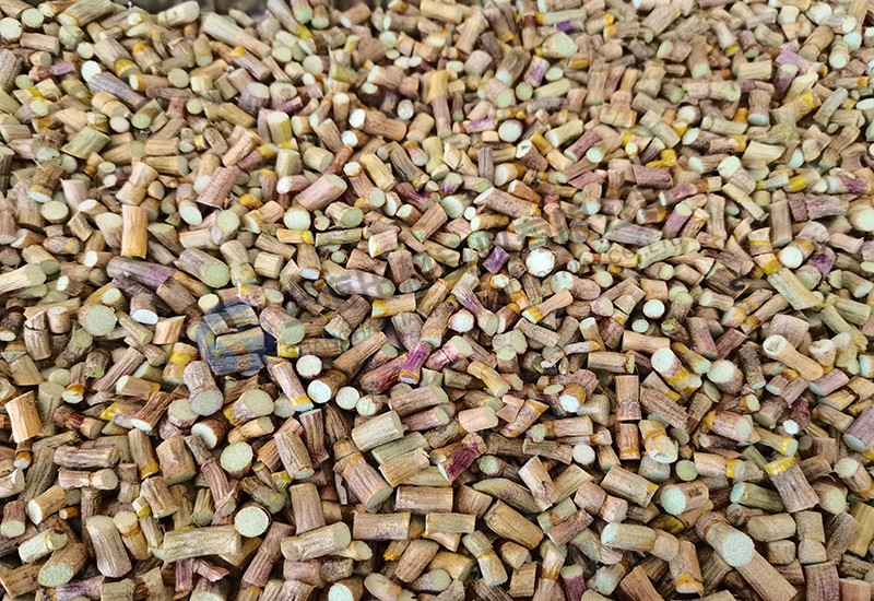 石斛凍干：食品真空冷凍干燥機應(yīng)用石斛凍干測試
