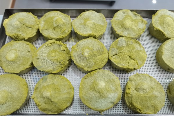 蔬菜餅凍干:蔬菜餅凍干技術(shù)和食品凍干機應(yīng)用